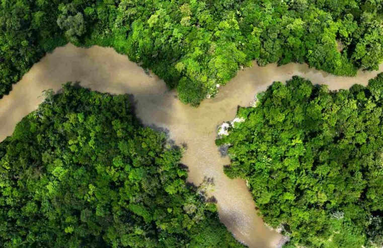 Brasil propõe fundo de US$ 125 bilhões para salvar florestas tropicais